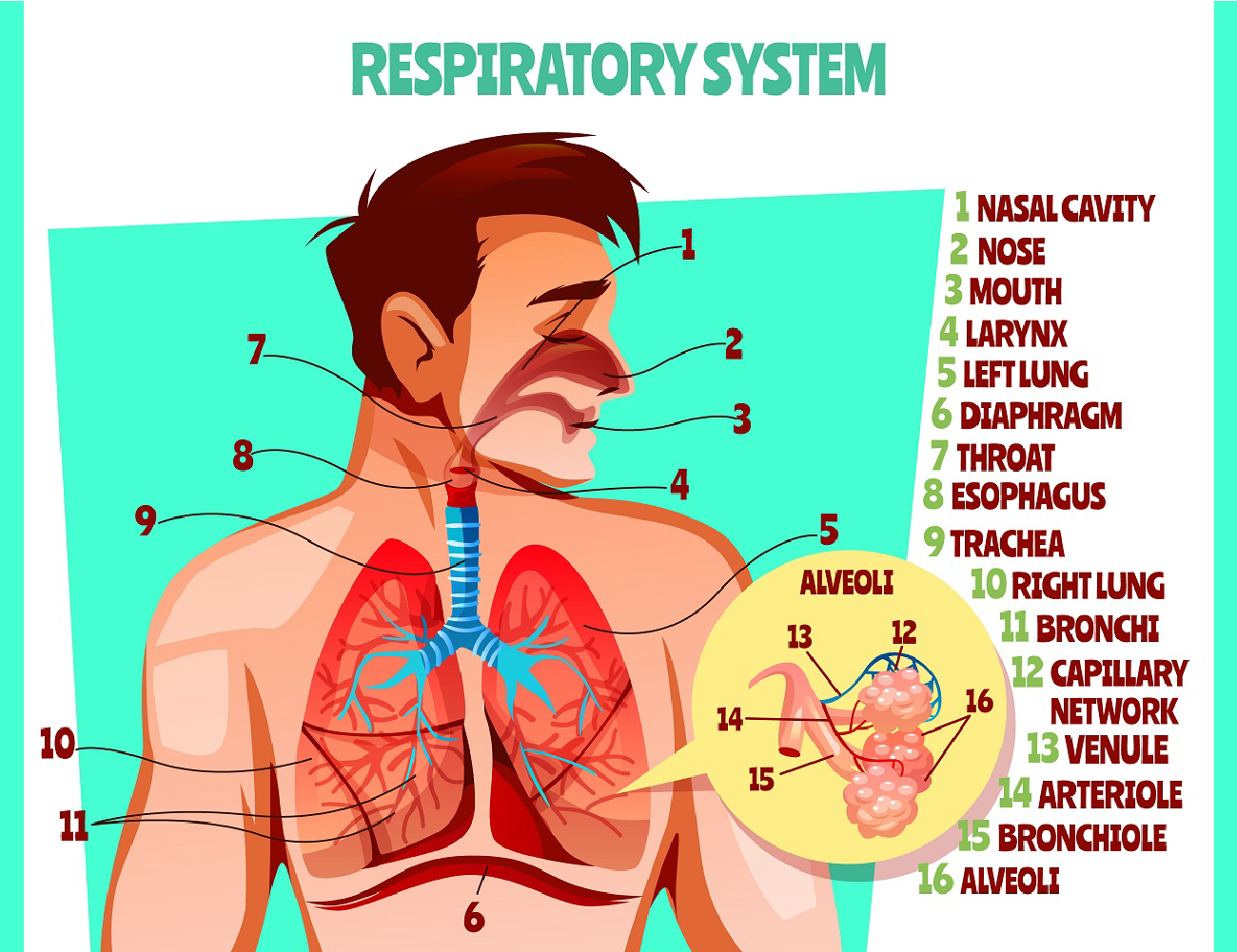 P.7 Integrated Science